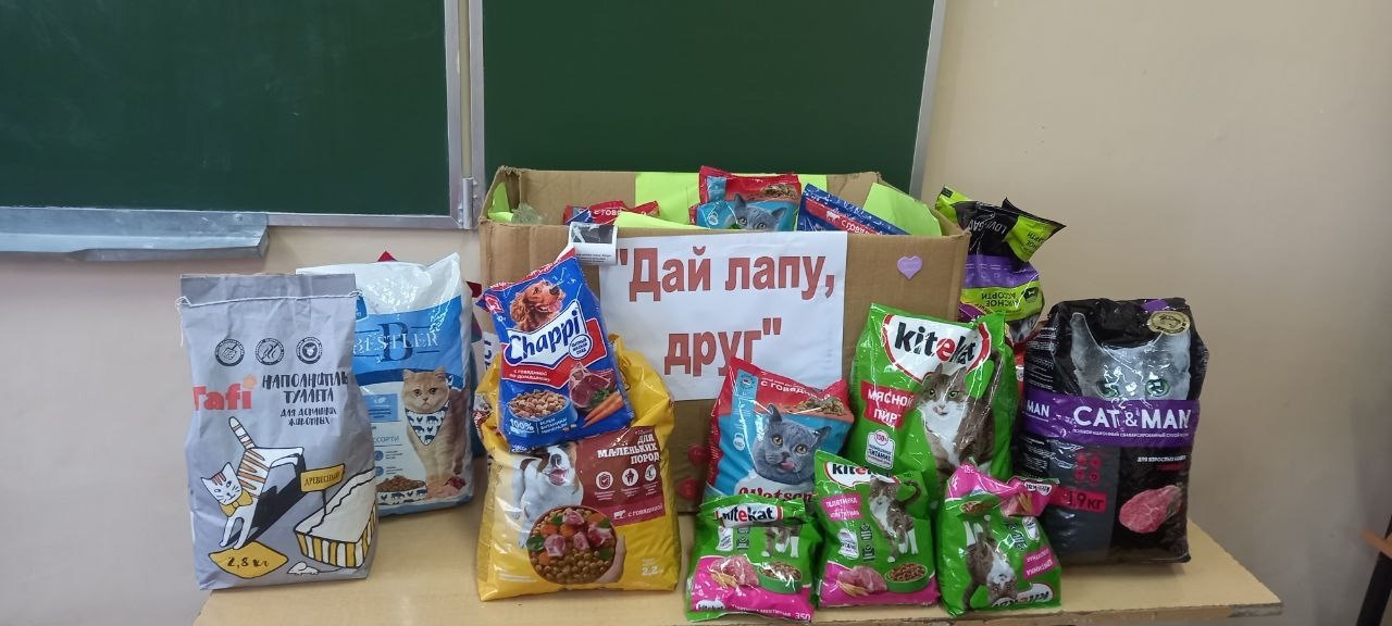 Всемирный день защиты животных.