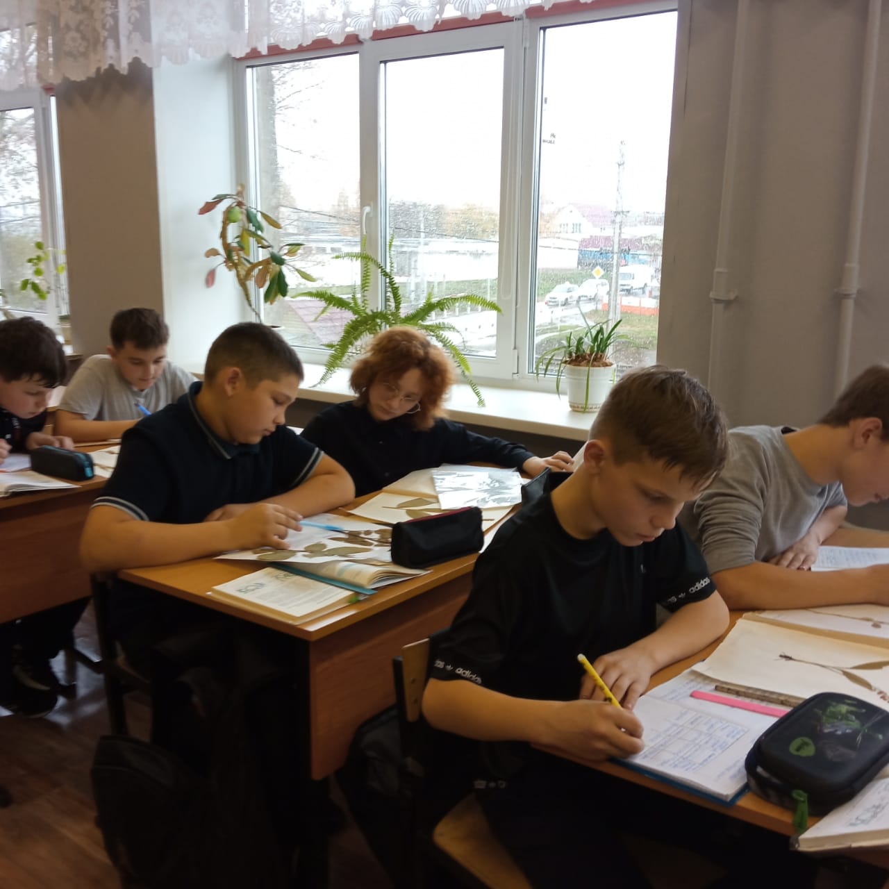  &amp;quot; Простые и сложные листья, их желкование и листорасположение. Работа с гербарием.